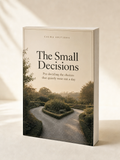 The Small Decisions — paperback