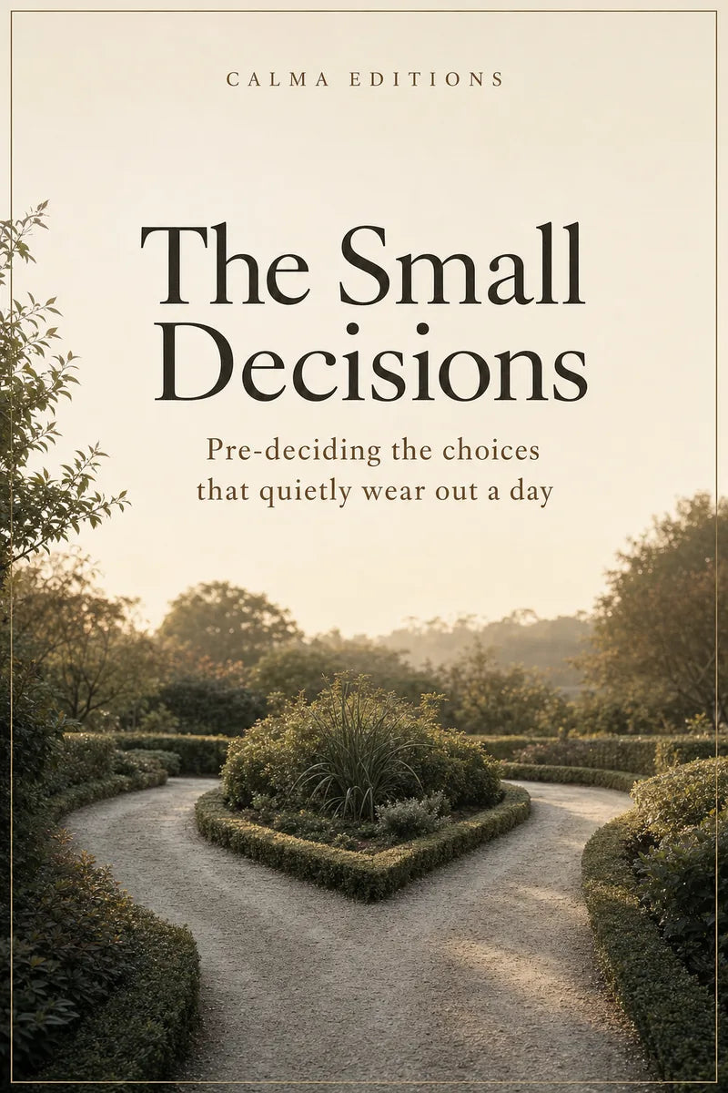 Cover of The Small Decisions